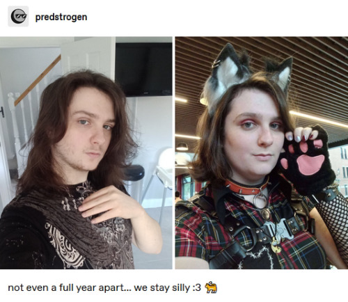 Two images of user predstrogen, the left a more masculine person, the right a more feminine. The photos are captioned “not even a full year apart… we stay silly :3 🐈”